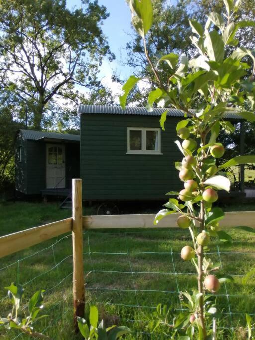Penn Bergeyn Shepherd'S Huts Эксетер Экстерьер фото